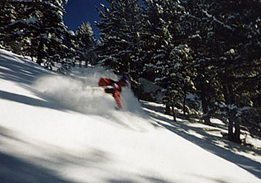 As ever Bansko forests are perfect