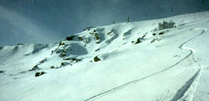 Vitosha, the terrain beside Gorno Lale ski run